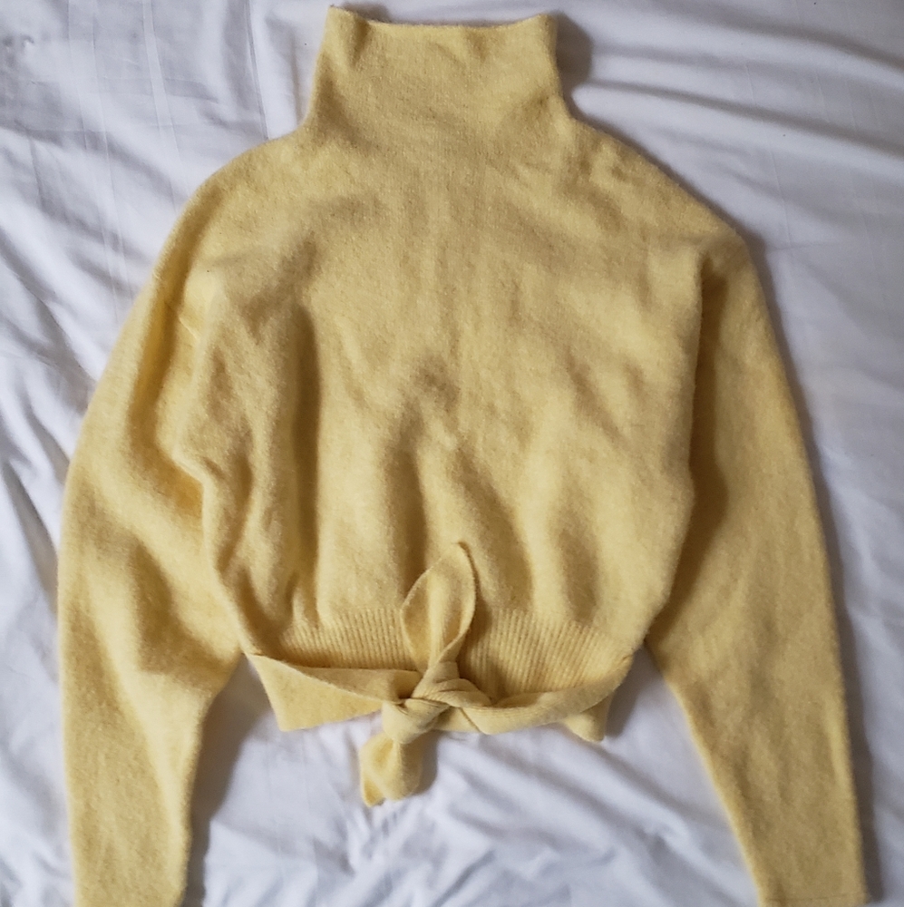 Aritzia Wilfred Lorin Sweater